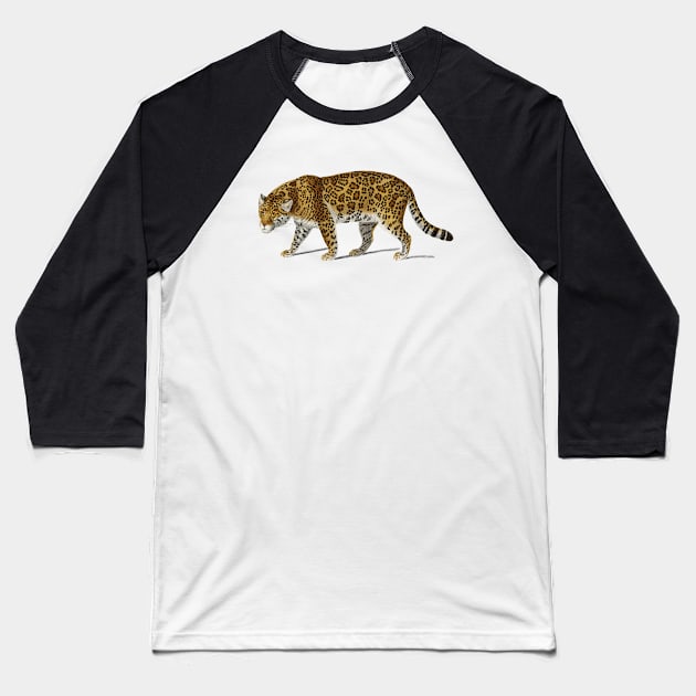 Vintage Jaguar png wild animal, Baseball T-Shirt by Phantom Troupe